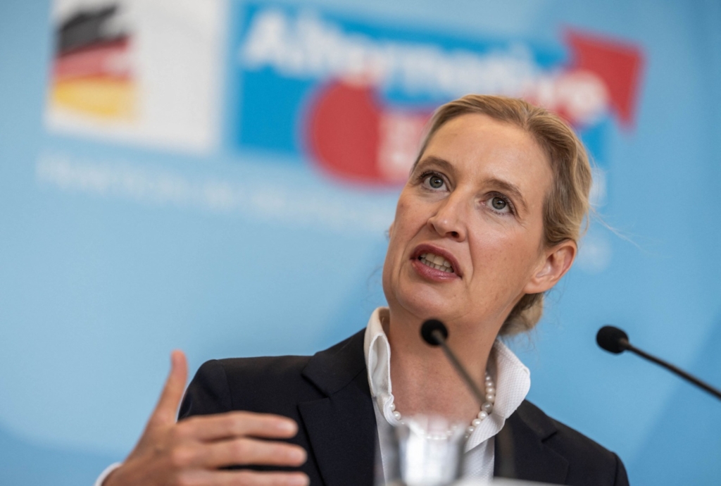 AfD propune reforme radicale pentru UE și amenință cu un referendum pentru ieșirea Germaniei