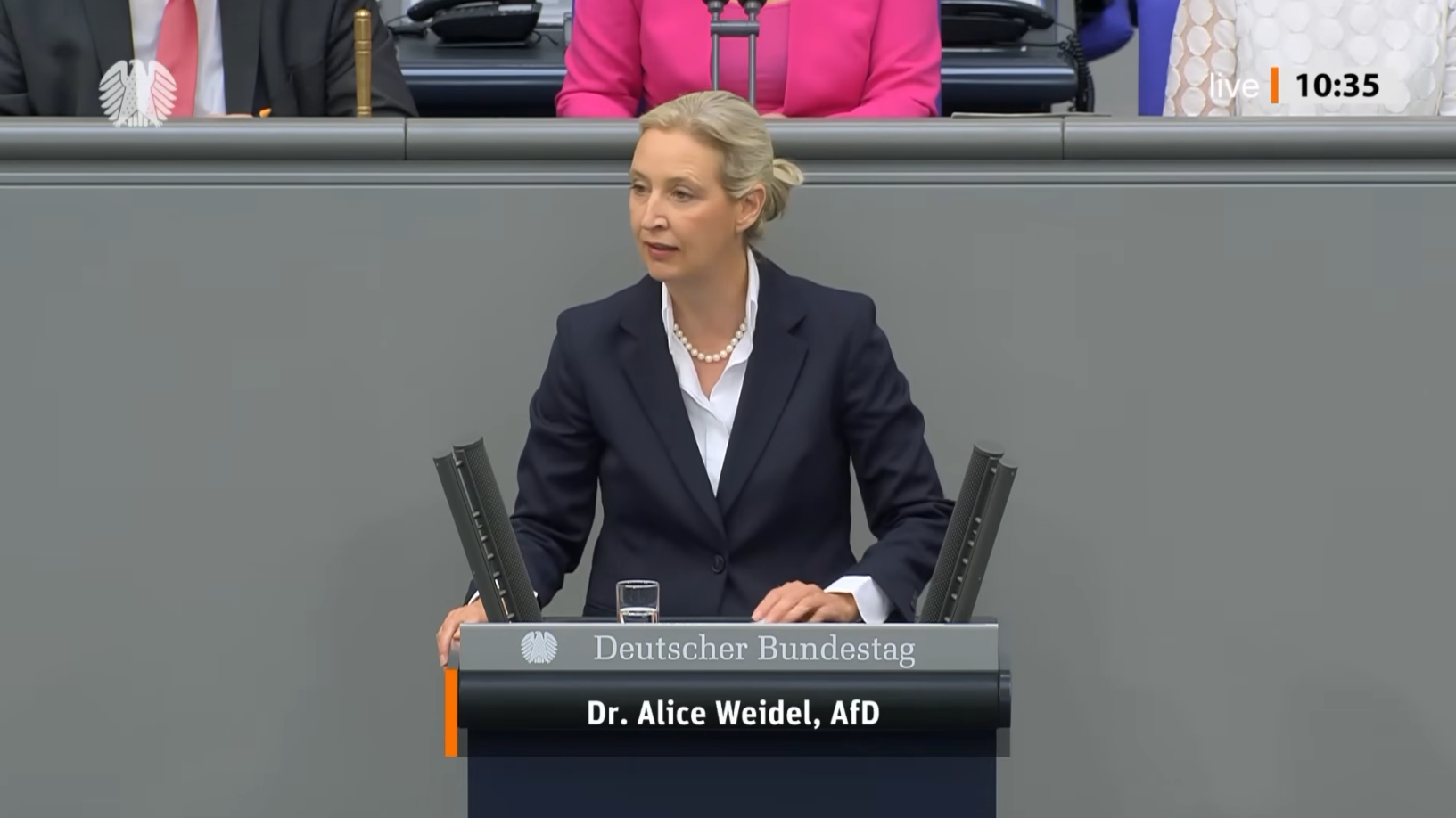 Alice Weidel cere reluarea negocierilor cu Rusia și restabilirea accesului la energia ieftină pentru Germania