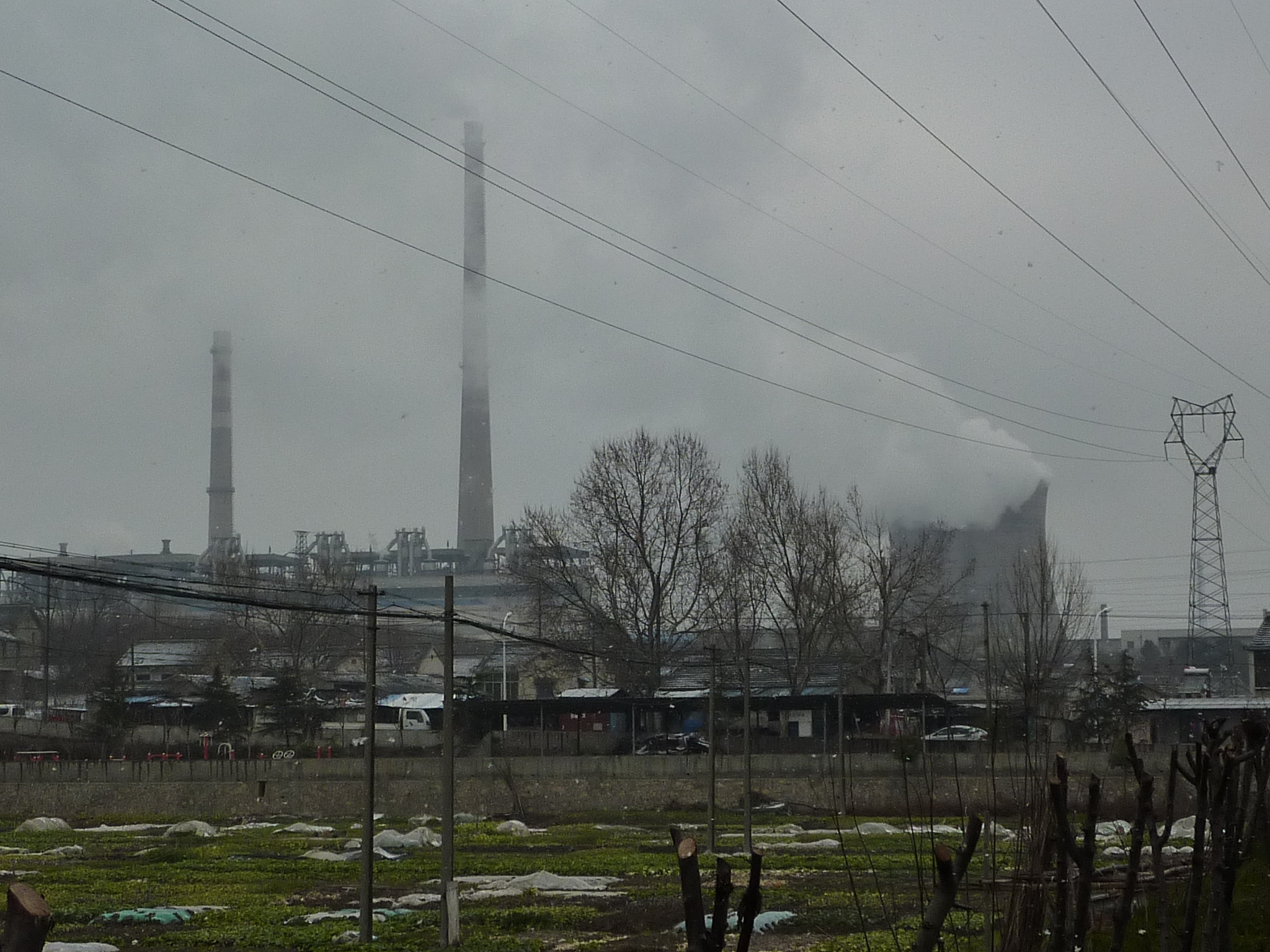 Impactul acordului de motorină dintre SUA și Rusia asupra procesului de pace, conform lui Petr Pavel
