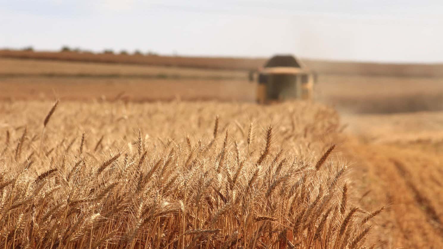 Riscul unei crize alimentare globale cauzate de instabilitatea energetică din zona Golfului Persic