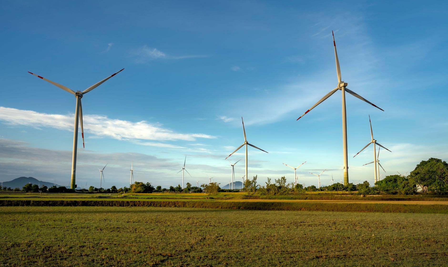 Parlamentul European solicită accelerarea abandonării combustibililor fosili în vederea COP31