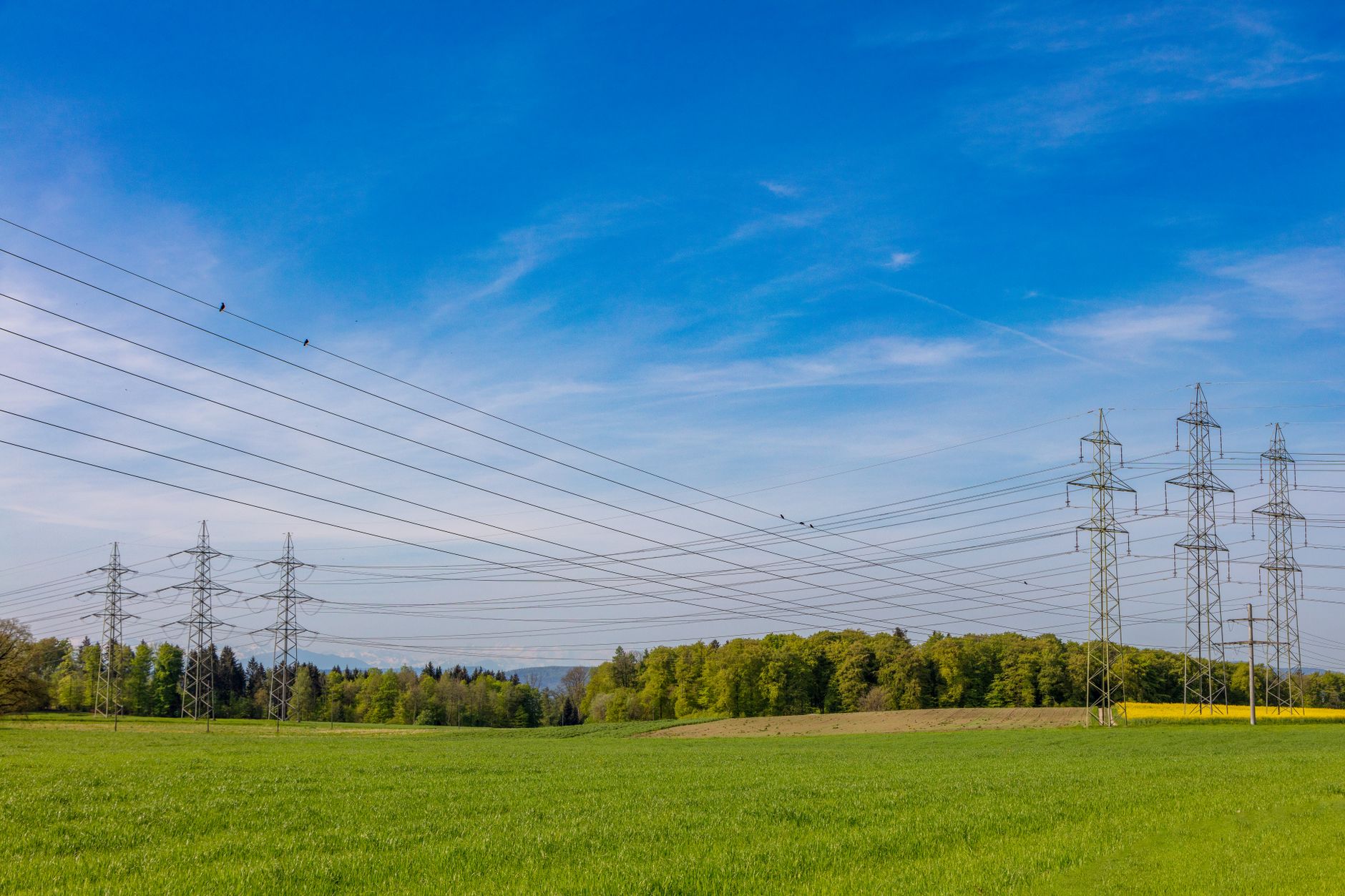 Strategia ENTSO-E pentru securitatea rețelelor electrice și accelerarea racordărilor în Europa