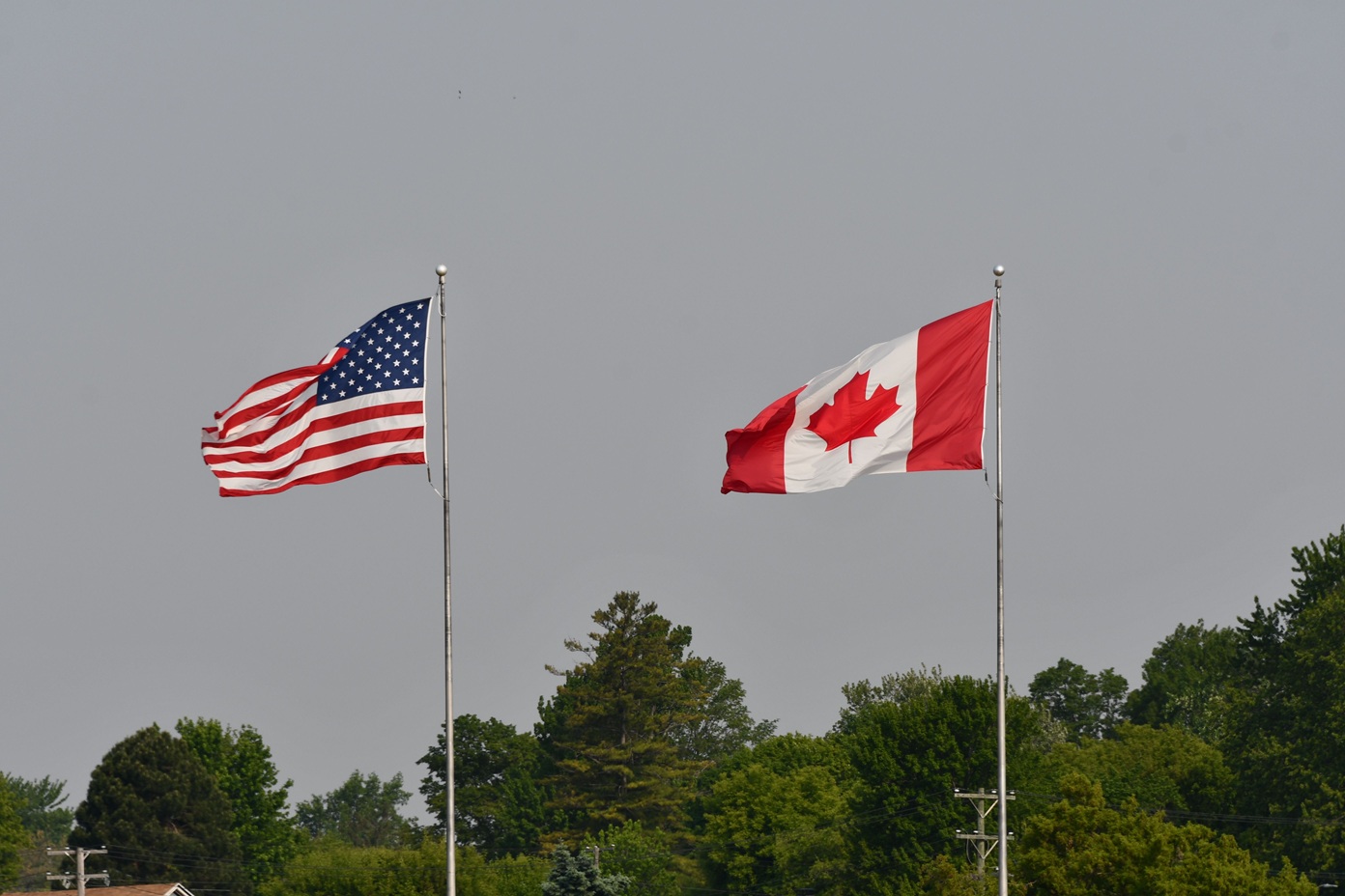 Administrația Trump elimină tarifele de 50% aplicate produselor canadiene înainte de alegerile din SUA
