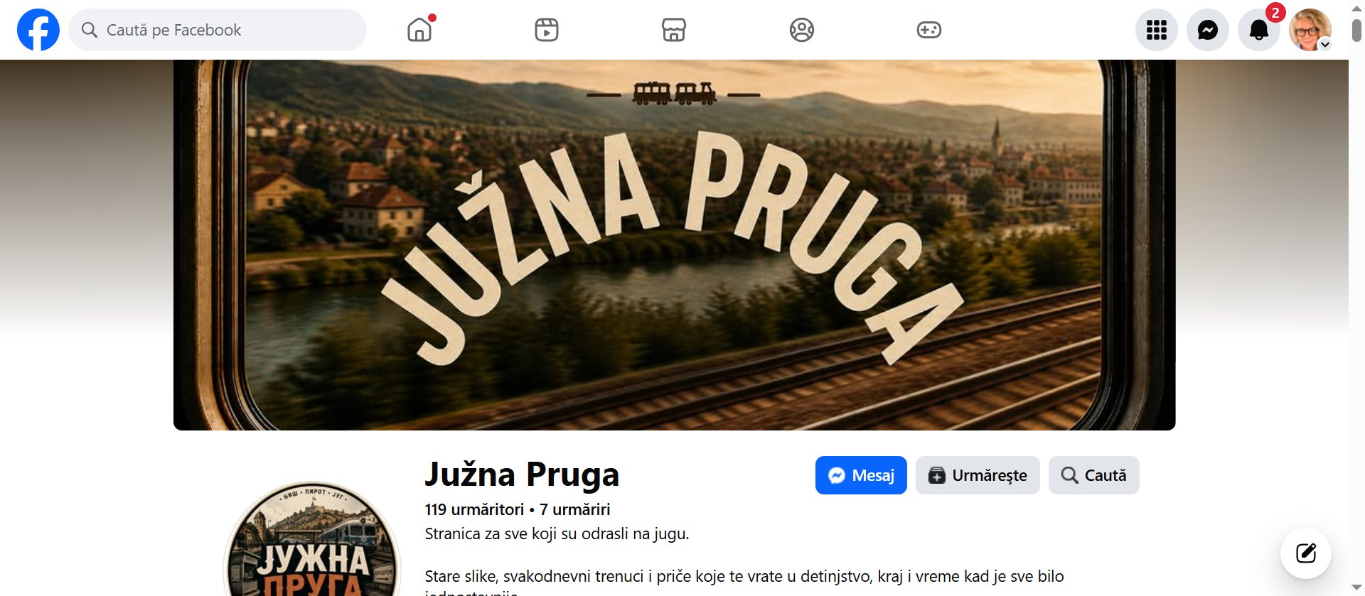 Manipulare electorală în Serbia: reclame cu informații false finanțate din România