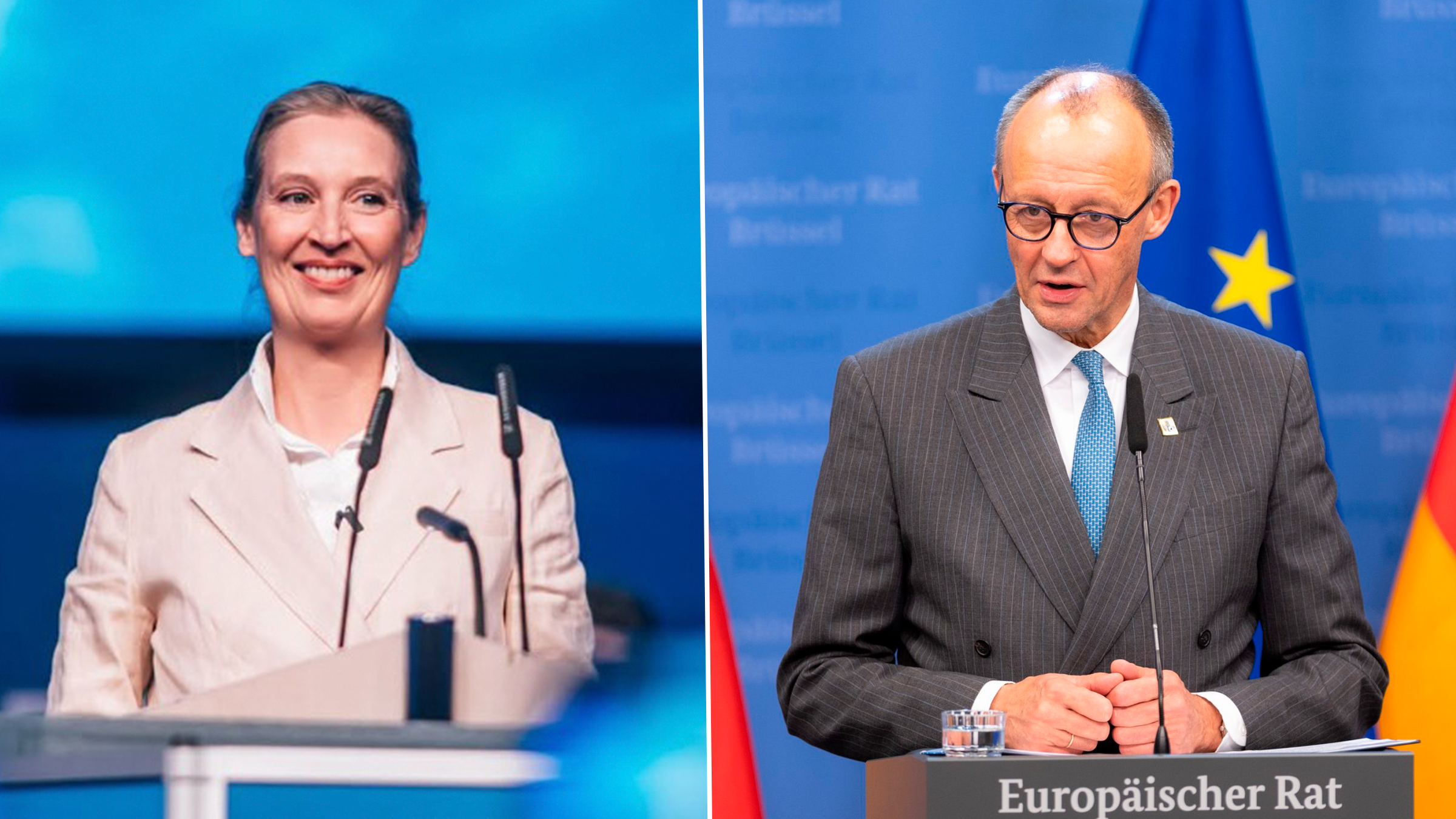 Planul AfD de reformare radicală a Uniunii Europene ar putea duce la ieșirea Germaniei din bloc