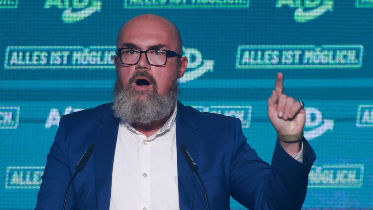 Hans-Thomas Tillschneider, politicianul de la AfD cu origini în România, poate influența politica culturală din Germania