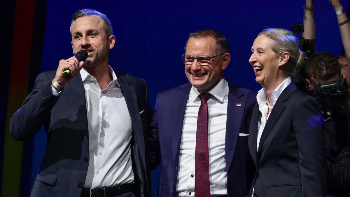Schimbări majore în Germania: AfD câștigă un nou land, iar Die Linke se impune în Berlin