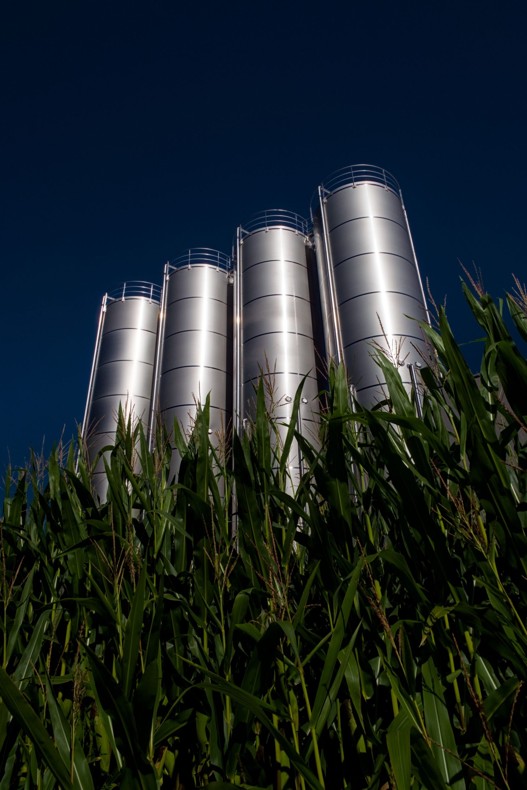 Producția de biocombustibili ar putea crește cu 70% până în 2030 sub presiunea securității energetice