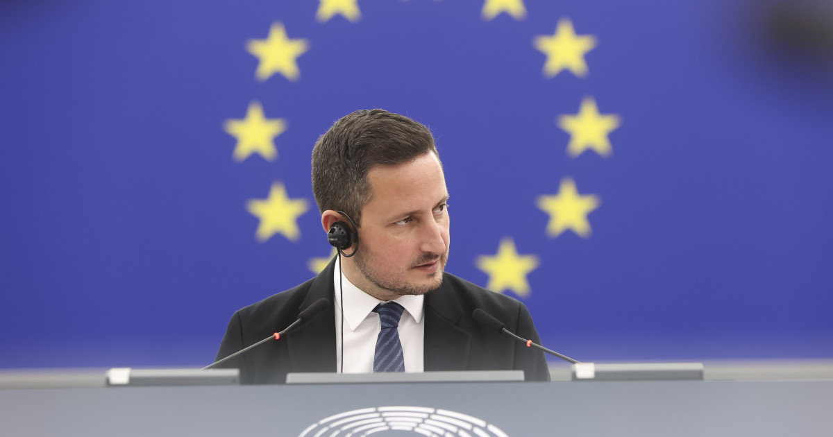 Nicu Ștefănuță: Flancul Estic este sub atac, România a evitat victimele doar prin noroc