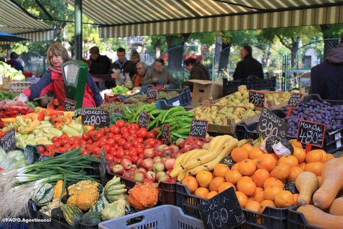 Riscul crizelor alimentare globale crește pe măsură ce dwindle resursele de finanțare pentru FAO