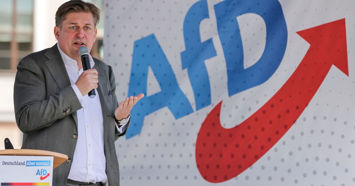 Ascensiunea suveranismului internațional: impactul victoriilor AfD asupra cadrului politic din România