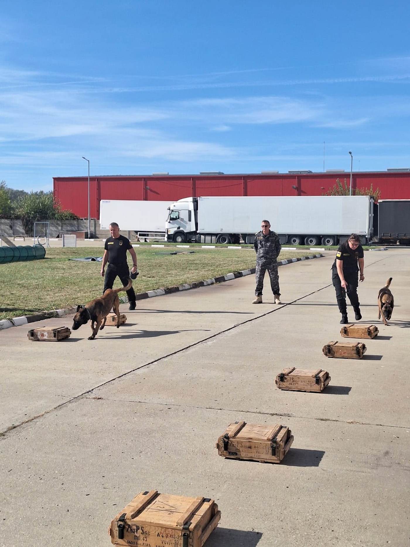 Consolidarea securității frontierelor: Echipe canine ucrainene au finalizat instruirea în România